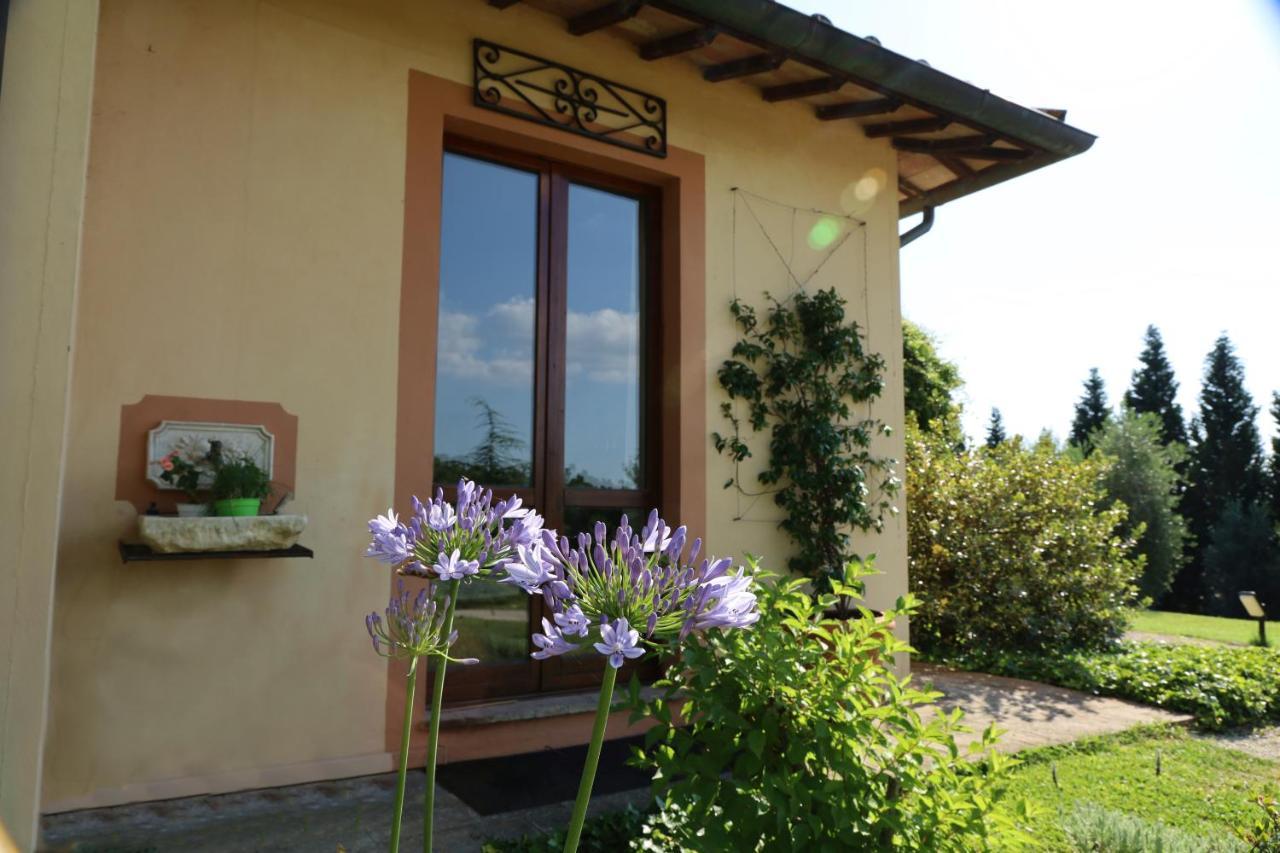 Agrifoglio Apartamento Pantalla Exterior foto