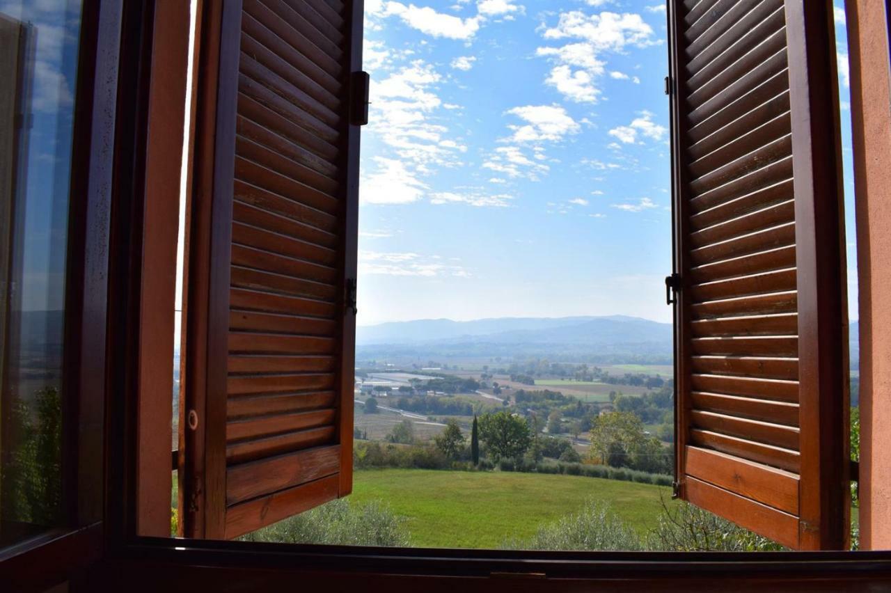 Agrifoglio Apartamento Pantalla Exterior foto